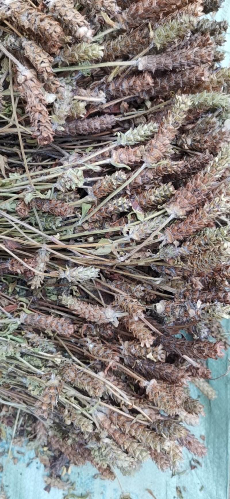 河南确山夏枯草穗产地直销，物美价廉，诚信经营，保质保量！