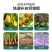 钙镁锌硼铁微量元素水溶叶面肥增产抗逆农用瓜果蔬菜膨大防裂