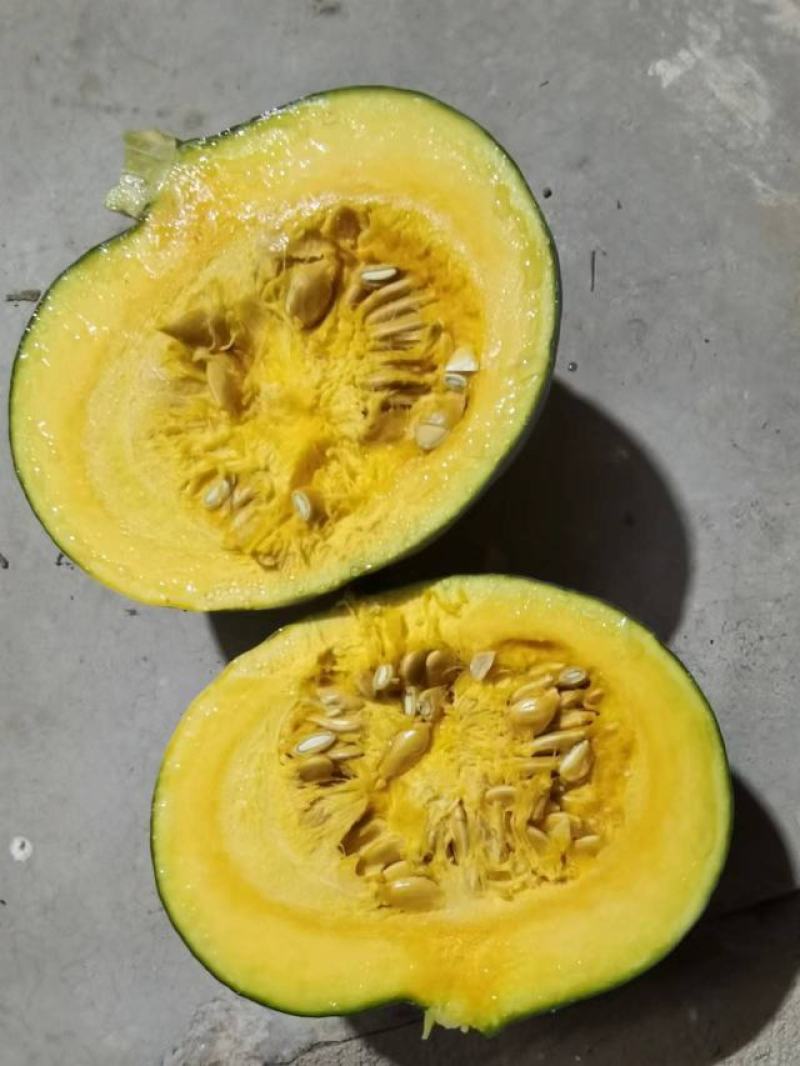 汉中精品银栗南瓜个头2至四4斤口感甘面甜产地直销