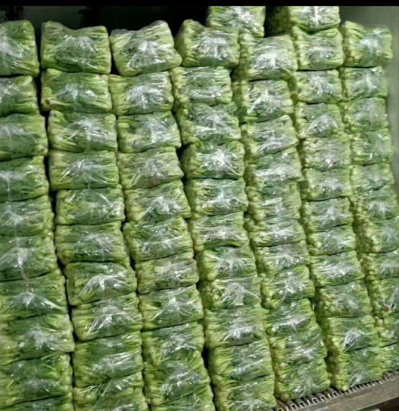万亩基地，产地直出，当天采收装车，质量好，价格美