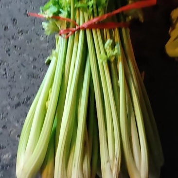加州王西芹50万斤