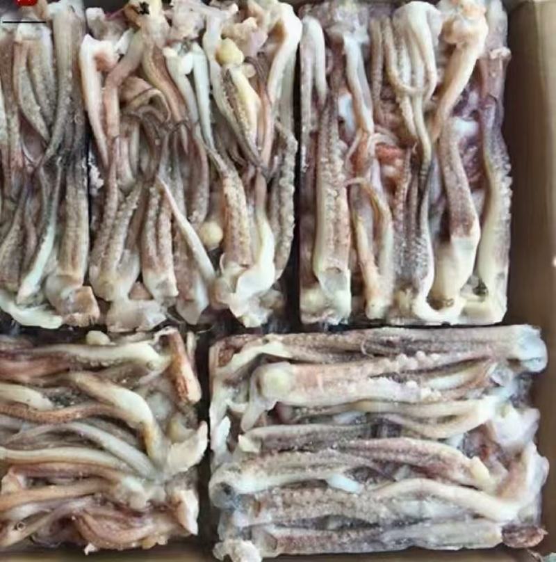 无冰衣脆口鱿鱼须99元7斤冷链二本足烧烤店饭店专用鱿鱼须