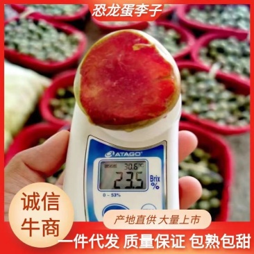 味帝-恐龙蛋新疆珍惜品质果品，种植面积极少稀有美味。
