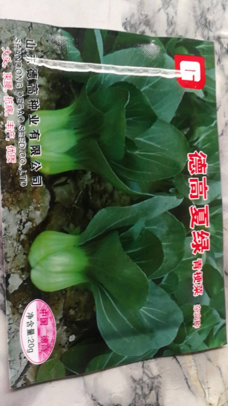 德高夏绿杂交青梗菜，大头束腰抗病丰产优质