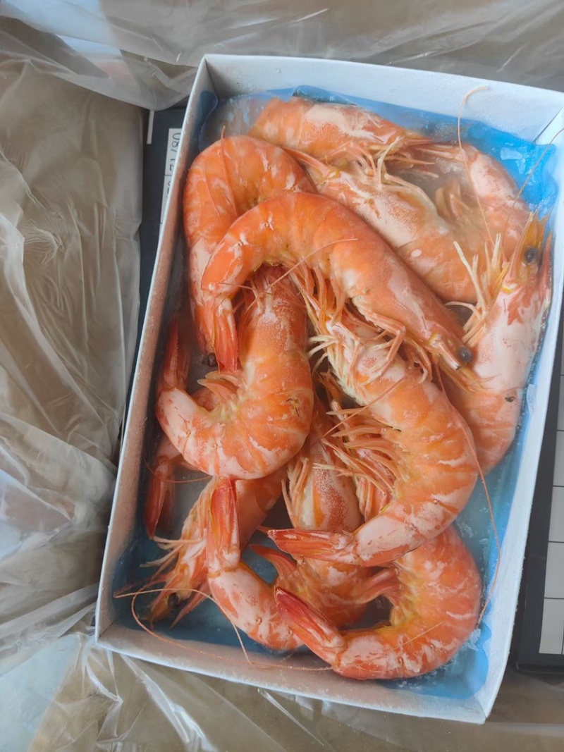 【精选大香虾】可定制，欢迎各位老板前来洽谈