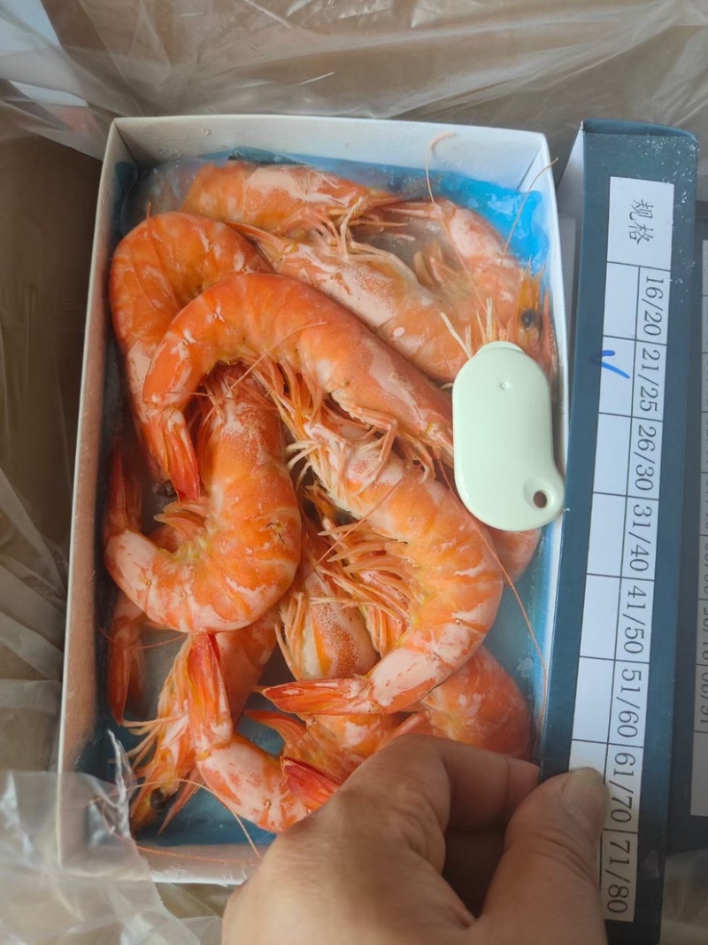 【精选大香虾】可定制，欢迎各位老板前来洽谈