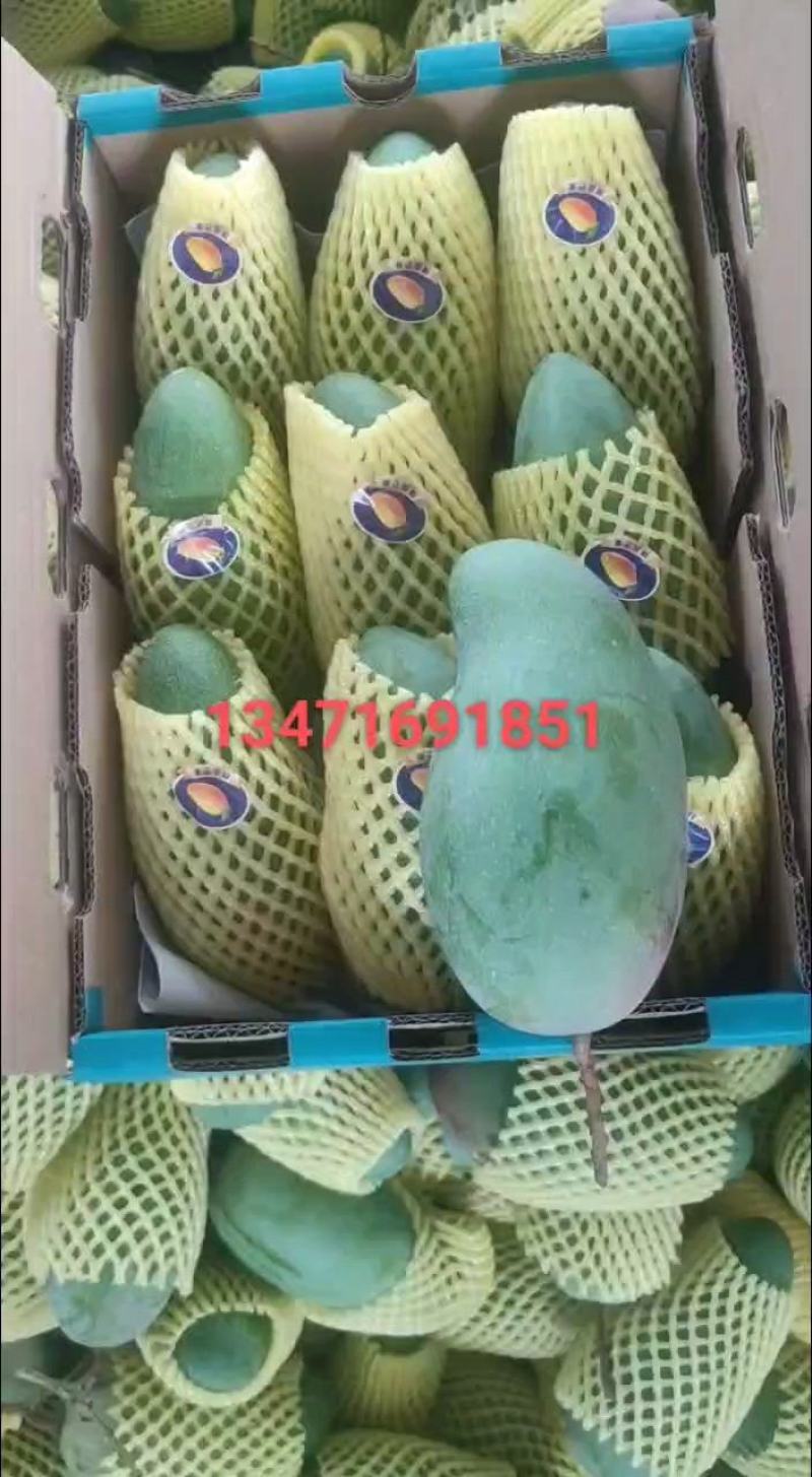 金煌芒果供落地配商超批发商社区团购工厂加工