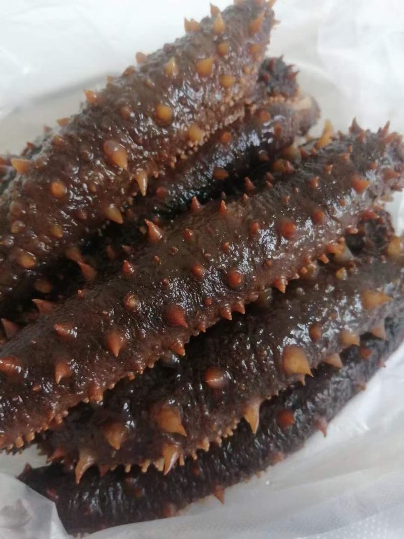 冷冻鲜食海参，冷冻装加热即食，海参，大连海参辽刺参