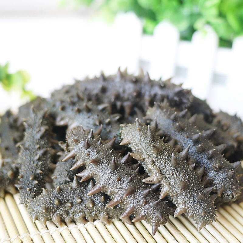 冷冻鲜食海参，冷冻装加热即食，海参，大连海参辽刺参