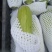 甘肃菜瓜西葫芦定西精品西葫芦新鲜直采现发实力代办发全国