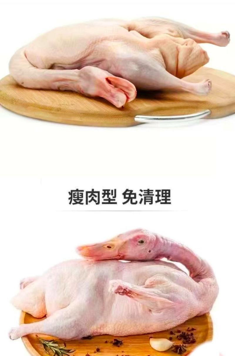 农家散养土鸭营养美味活杀现发整只包邮