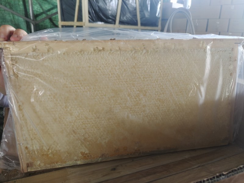 整张新蜂巢蜜，口感好，不易结晶，一级批发商，货源稳定