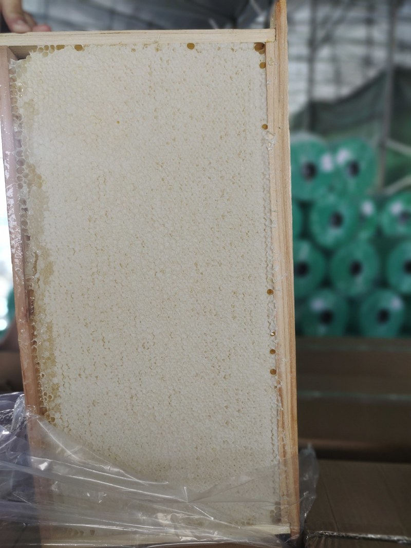 整张新蜂巢蜜，口感好，不易结晶，一级批发商，货源稳定