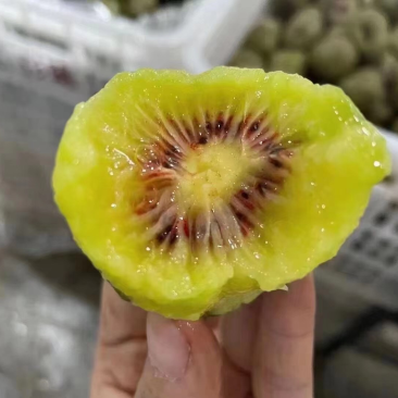 专业代卖寻找有实力供货商。。联系我。。