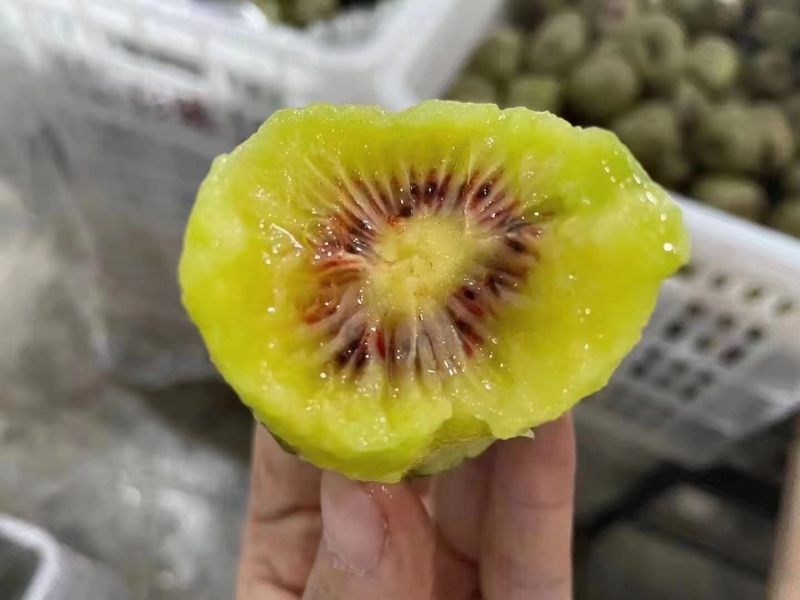 专业代卖寻找有实力供货商。。联系我。。