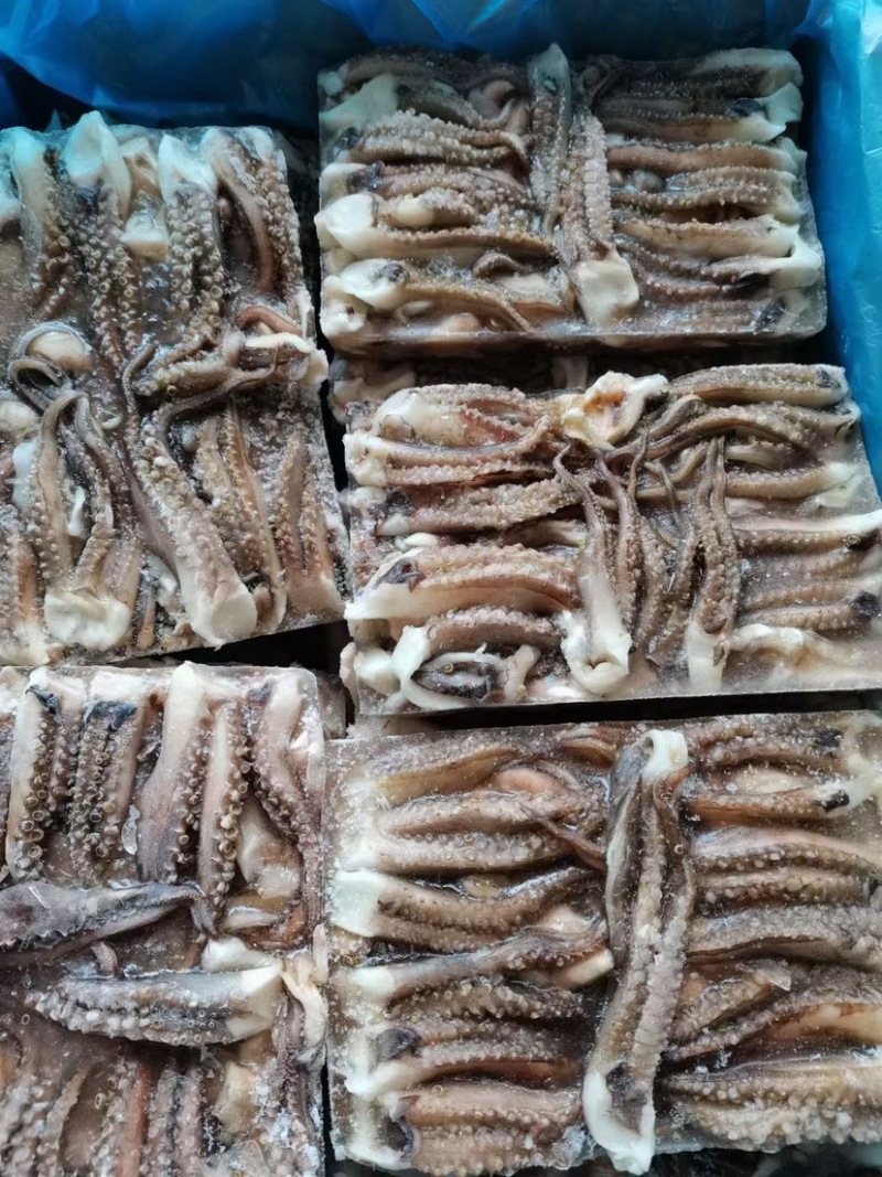 鱿鱼须