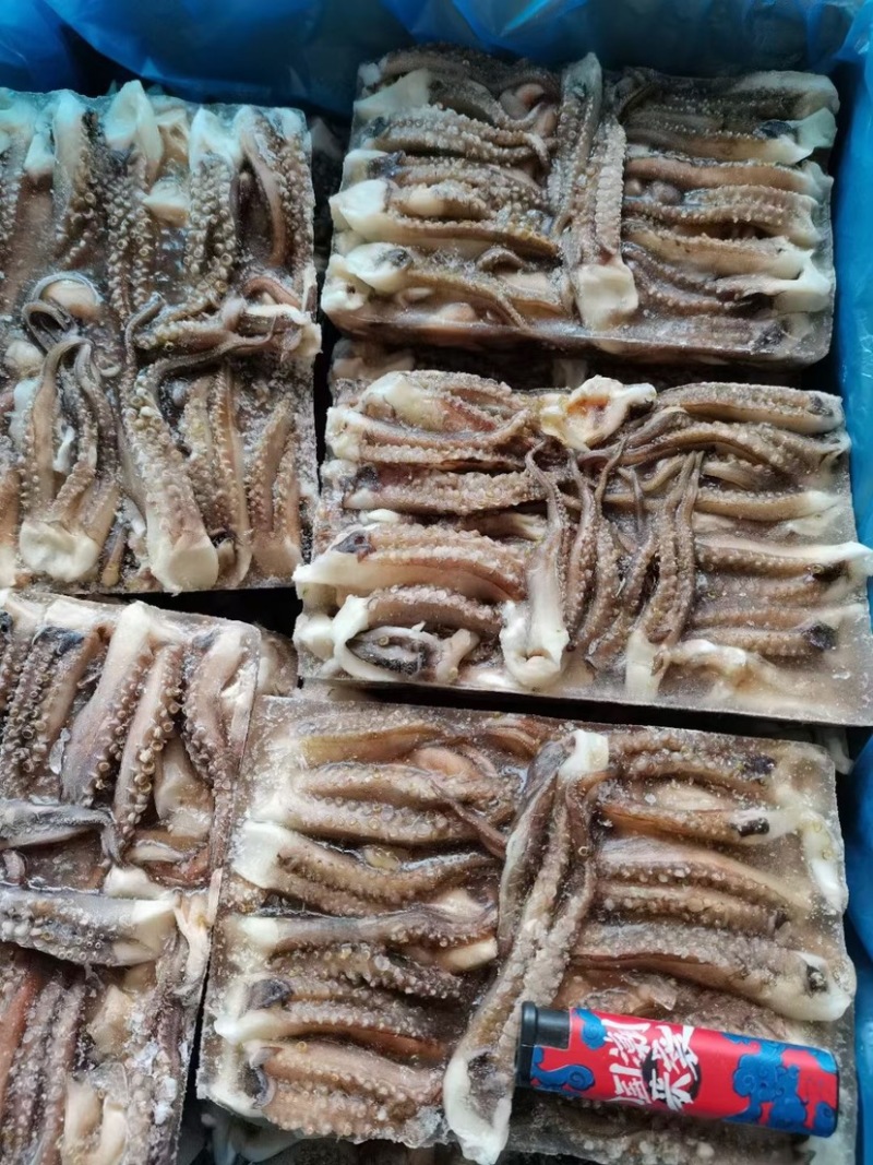 鱿鱼须