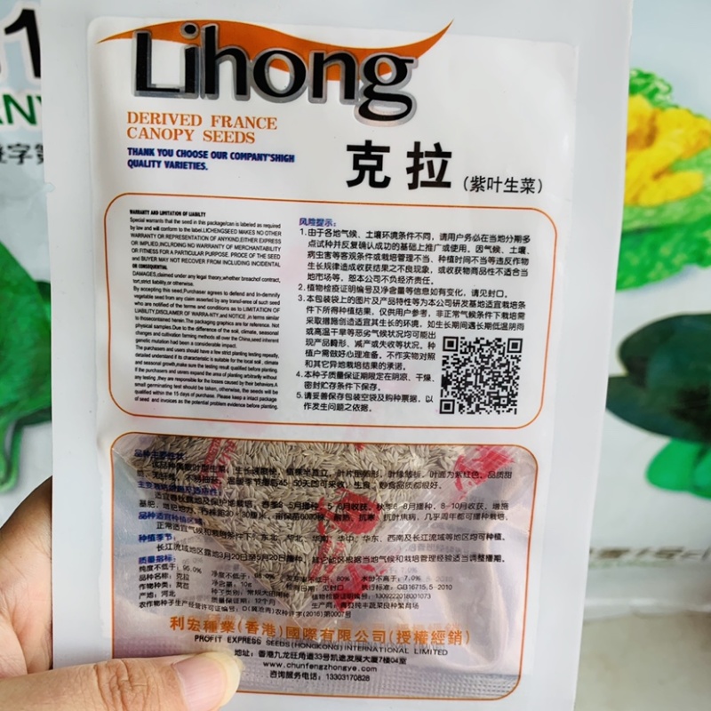 克拉紫叶生菜种子散叶型生菜叶面紫红色生菜种子甜脆