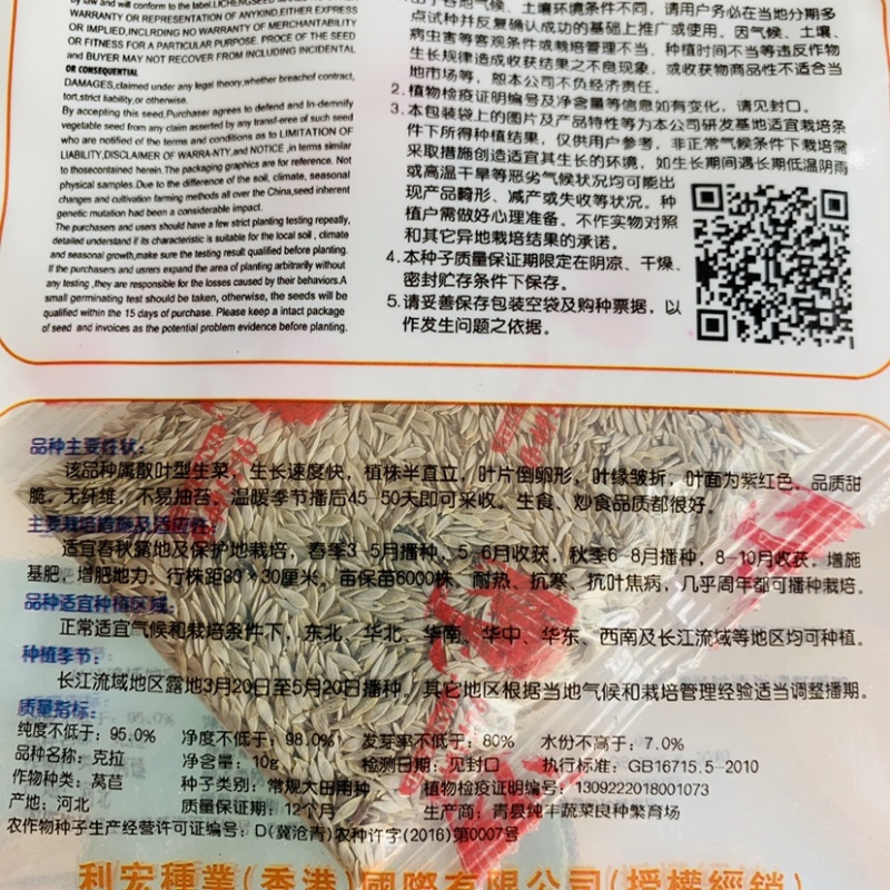 克拉紫叶生菜种子散叶型生菜叶面紫红色生菜种子甜脆