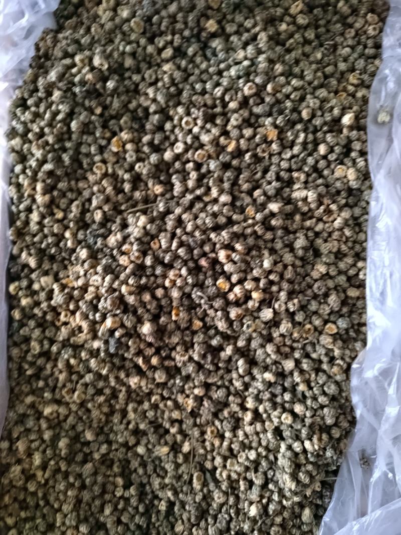 胎菊花茶，养生专用，药用，颜色好看丹丹中药