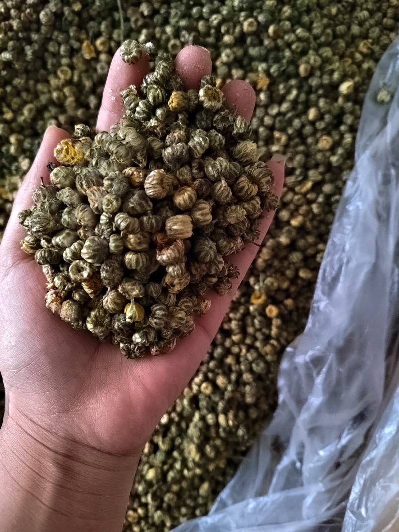 胎菊花茶，养生专用，药用，颜色好看丹丹中药