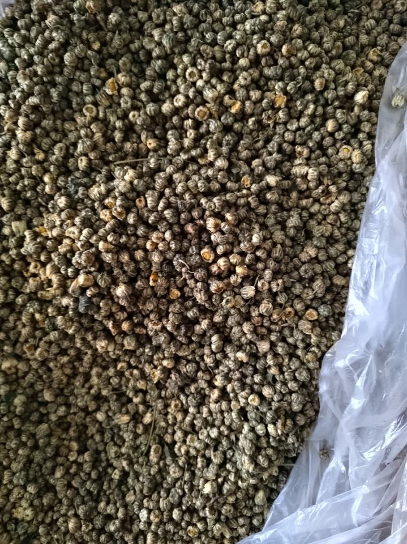 胎菊花茶，养生专用，药用，颜色好看丹丹中药
