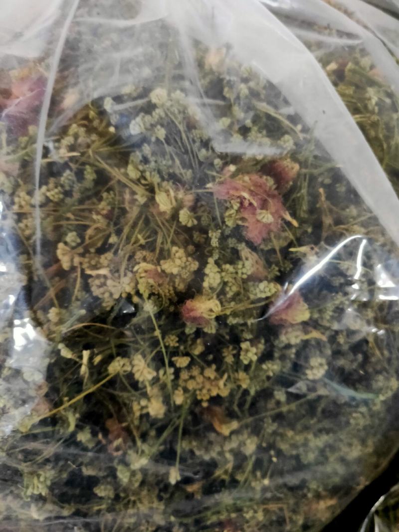 夜合米正品合欢米量大从优产地直销一手货源