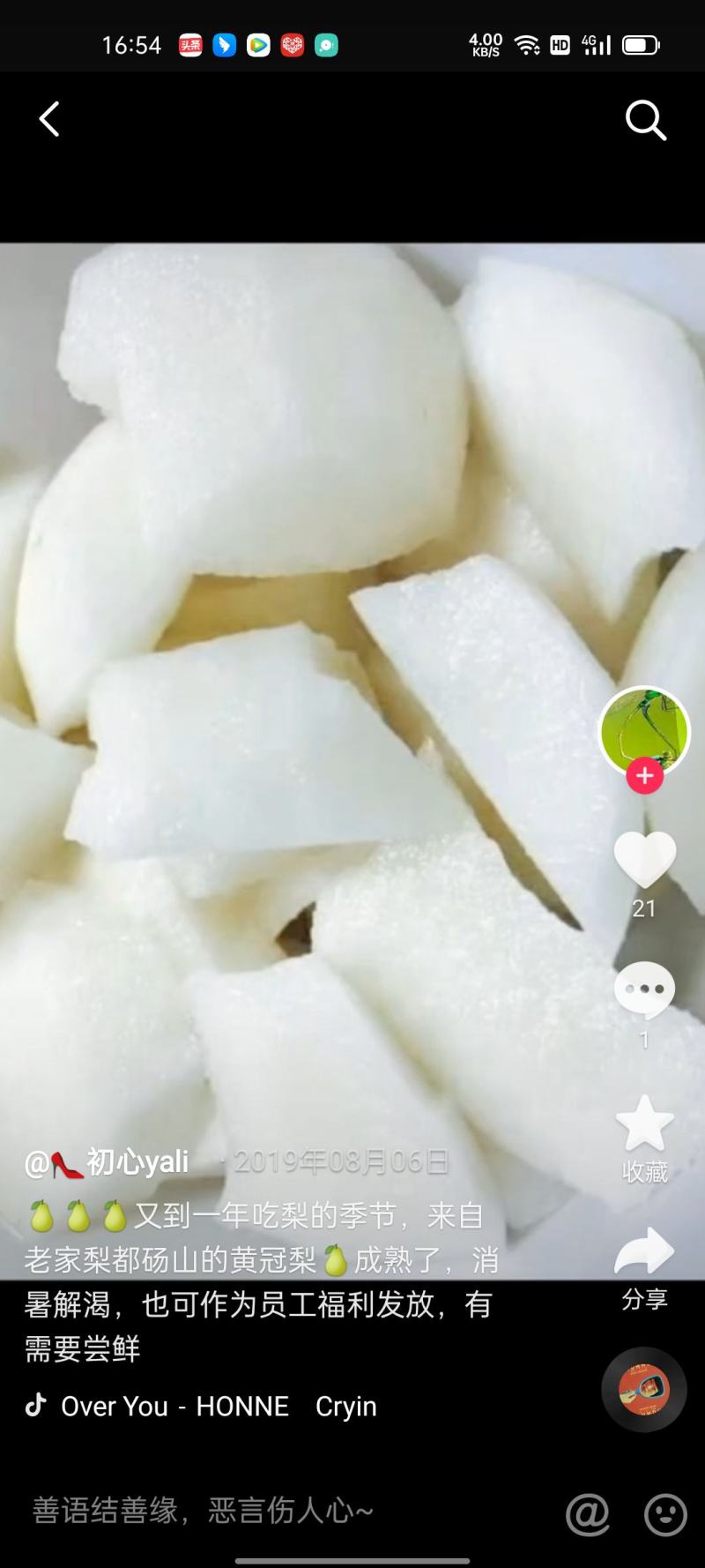 皇冠早熟梨