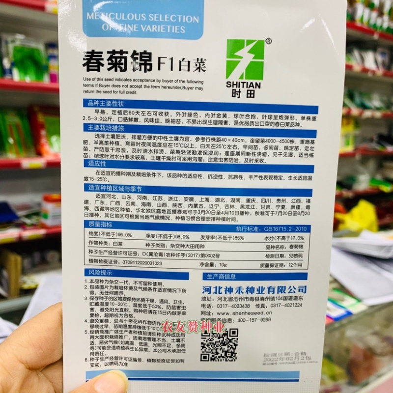 春秋大白菜种子春菊锦白菜种子合抱炮弹形黄心大白菜种子