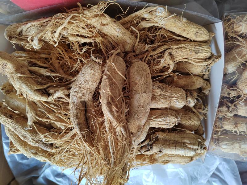 白参，白须参，人参货干质量好，产地全参可打粉