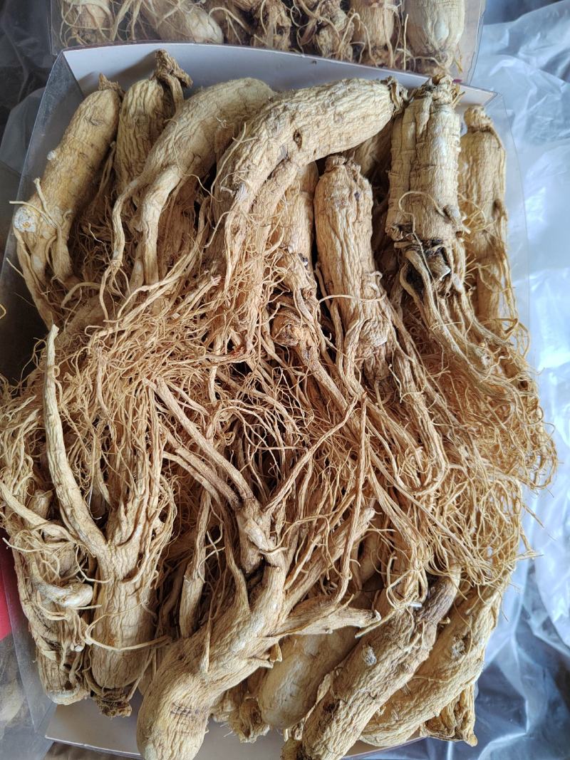 白参，白须参，人参货干质量好，产地全参可打粉