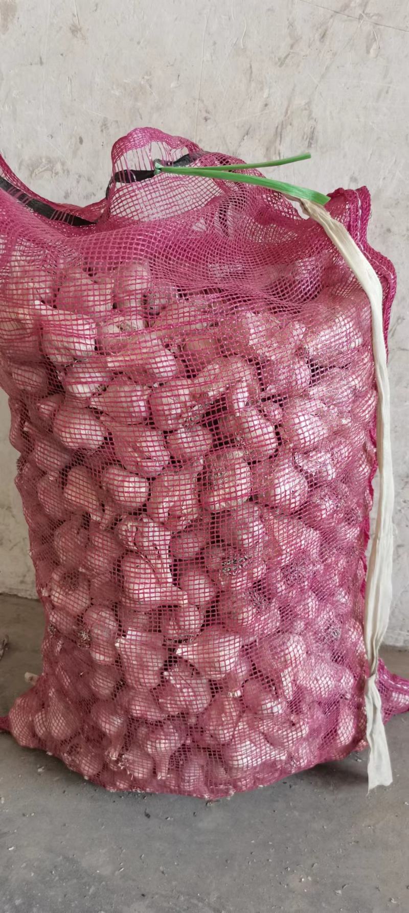 彭州精品软叶蒜，宝塔蒜，寒蒜，蒜苗蒜