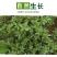 【荐】精品山东新鲜马齿苋菜产地直销一手货源质量保证