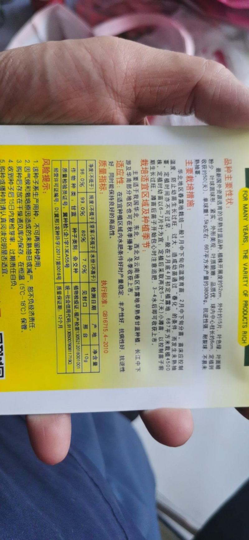 绿甘蓝种子绿圆50甘蓝种子早熟紧实耐裂抗性强叶