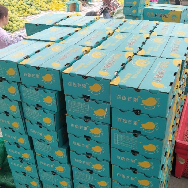 广西金煌芒，整车、落地配、电商、社区团购，一件代发。
