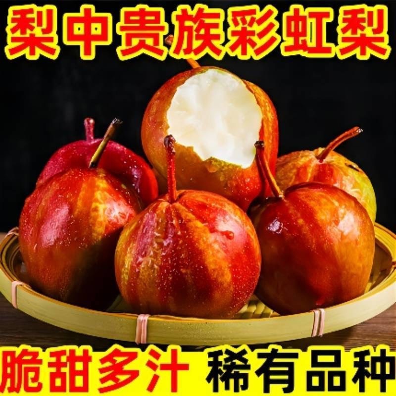 网红彩虹梨一件代发，品质保证，常年供应，合作，产地直发