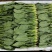 山西大同精品小叶菠菜，10-18，全国各地发