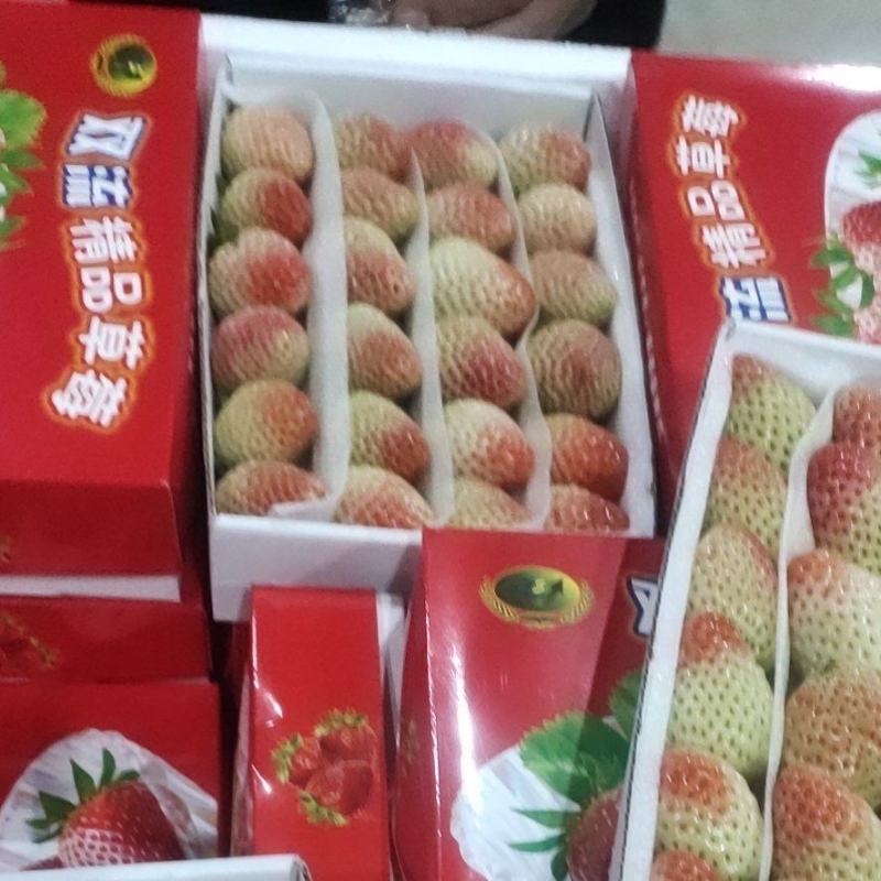 夏季草莓