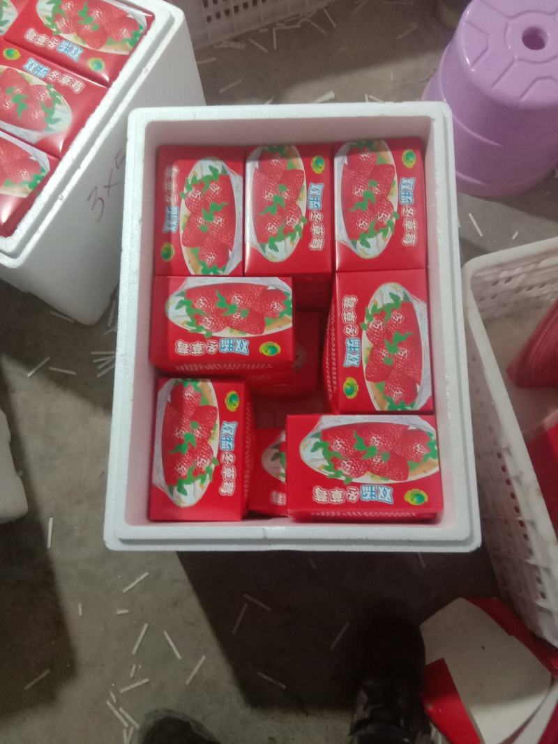 夏季草莓
