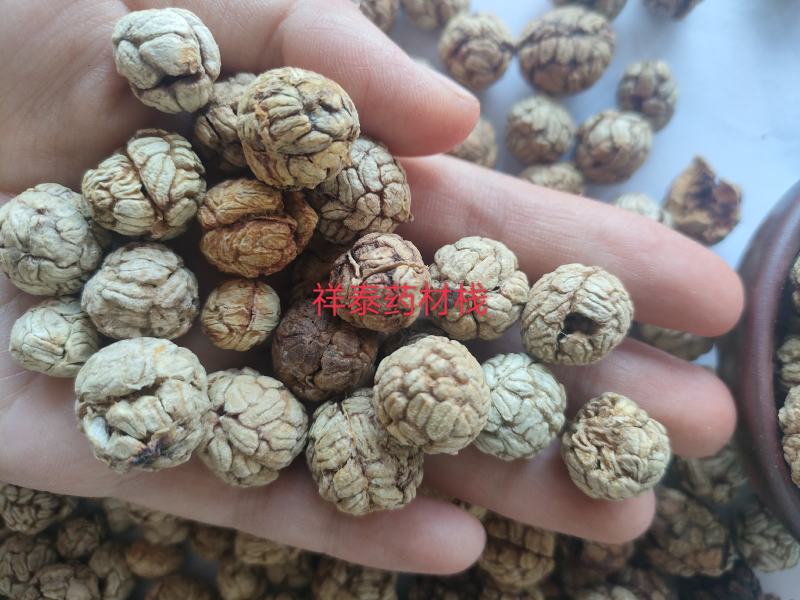 （热销）草蔻广东大草豆蔻进口中草蔻大料批发祥泰药材