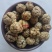 (热销)草蔻广东大草豆蔻进口中草蔻大料批发祥泰药材