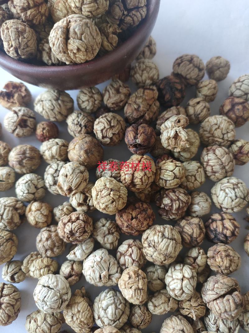 （热销）草蔻广东大草豆蔻进口中草蔻大料批发祥泰药材