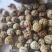 (热销)草蔻广东大草豆蔻进口中草蔻大料批发祥泰药材