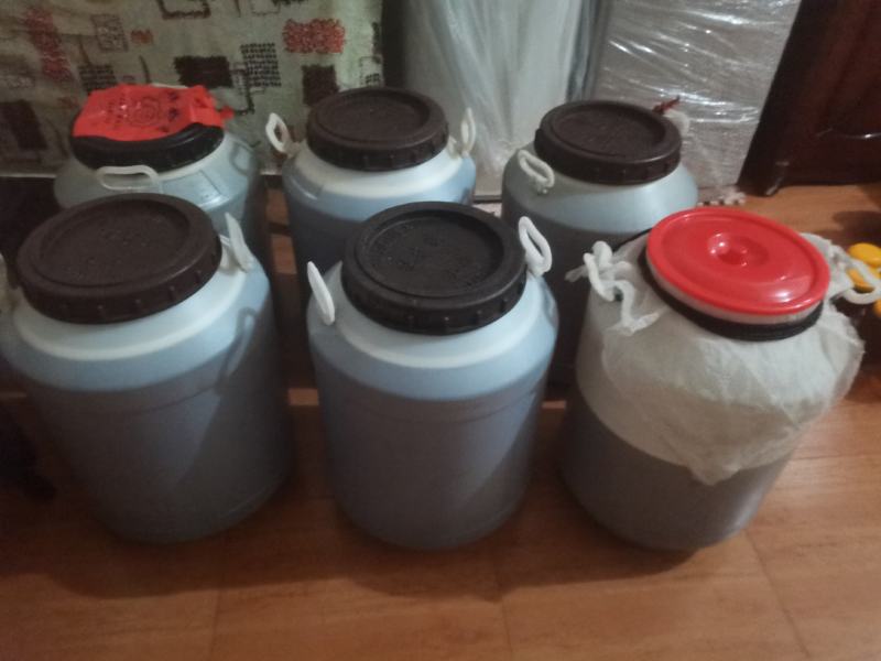 中药粽叶花期蜜开花期六～七月中旬中药粽叶籽（实名认证）