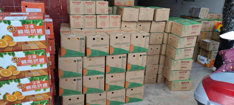 【一手货源】赣南脐橙量大从优产地直销对接各大市场