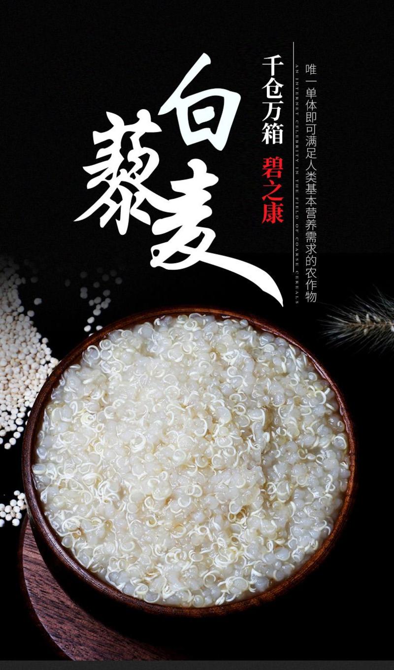 碧之康优质白藜麦米盐碱地种植颗粒大品质好低升糖