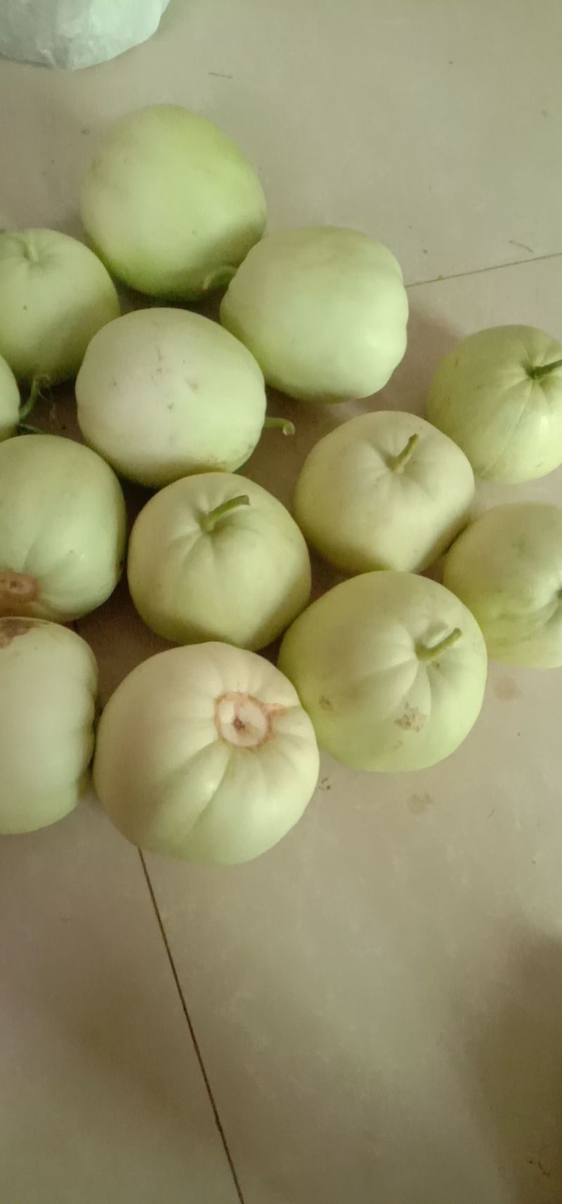 西瓜，甜瓜