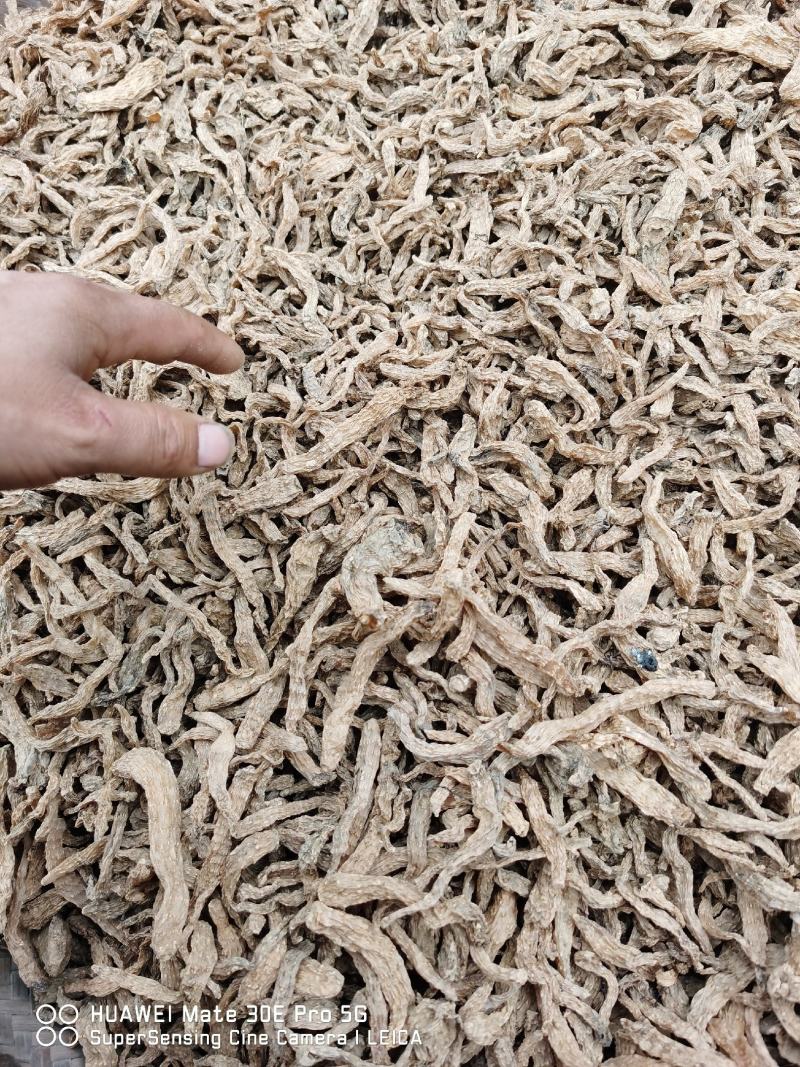 秦岭高山仿野生种植干天麻，脚麻惨麻，药厂专用或者打粉用