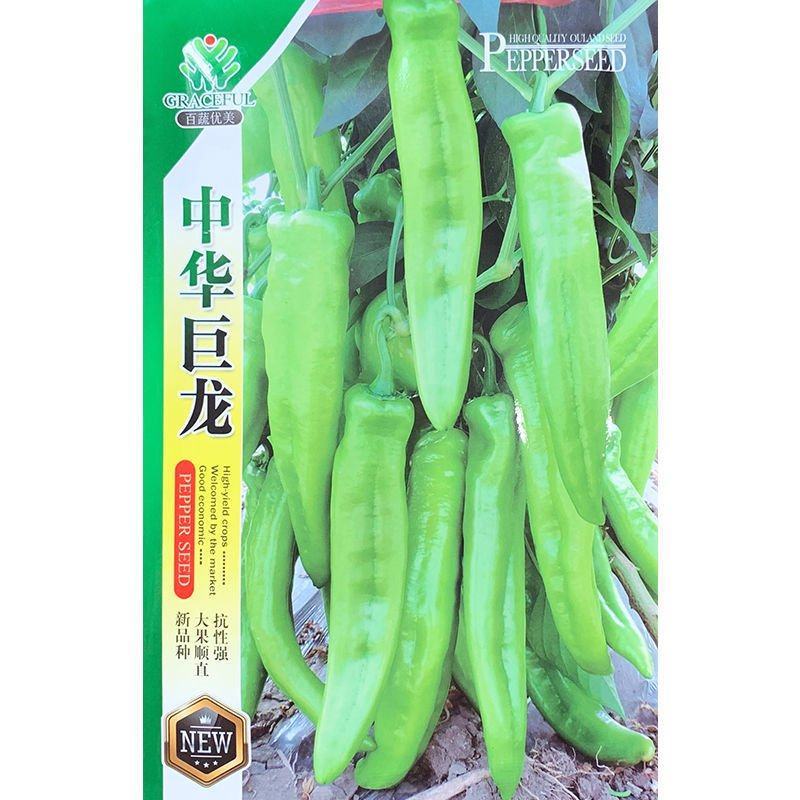 基地专用淡黄皮大果尖椒种子辣味香浓粗长牛角型辣椒种子耐热
