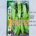 基地专用淡黄皮大果尖椒种子辣味香浓粗长牛角型辣椒种子耐热
